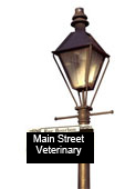 Main Street Vet Service
